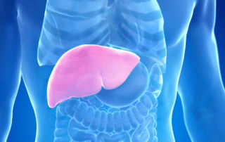 Liver Disorders Social Security Disability Benefits